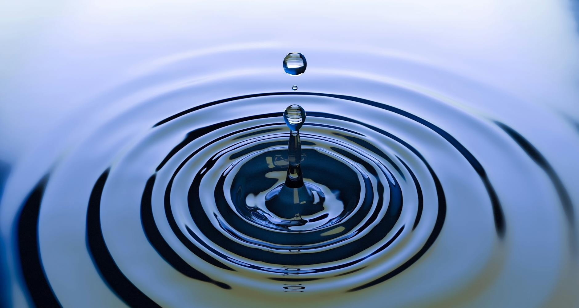 The Ripple Effect – Heidi Saunders Bungay