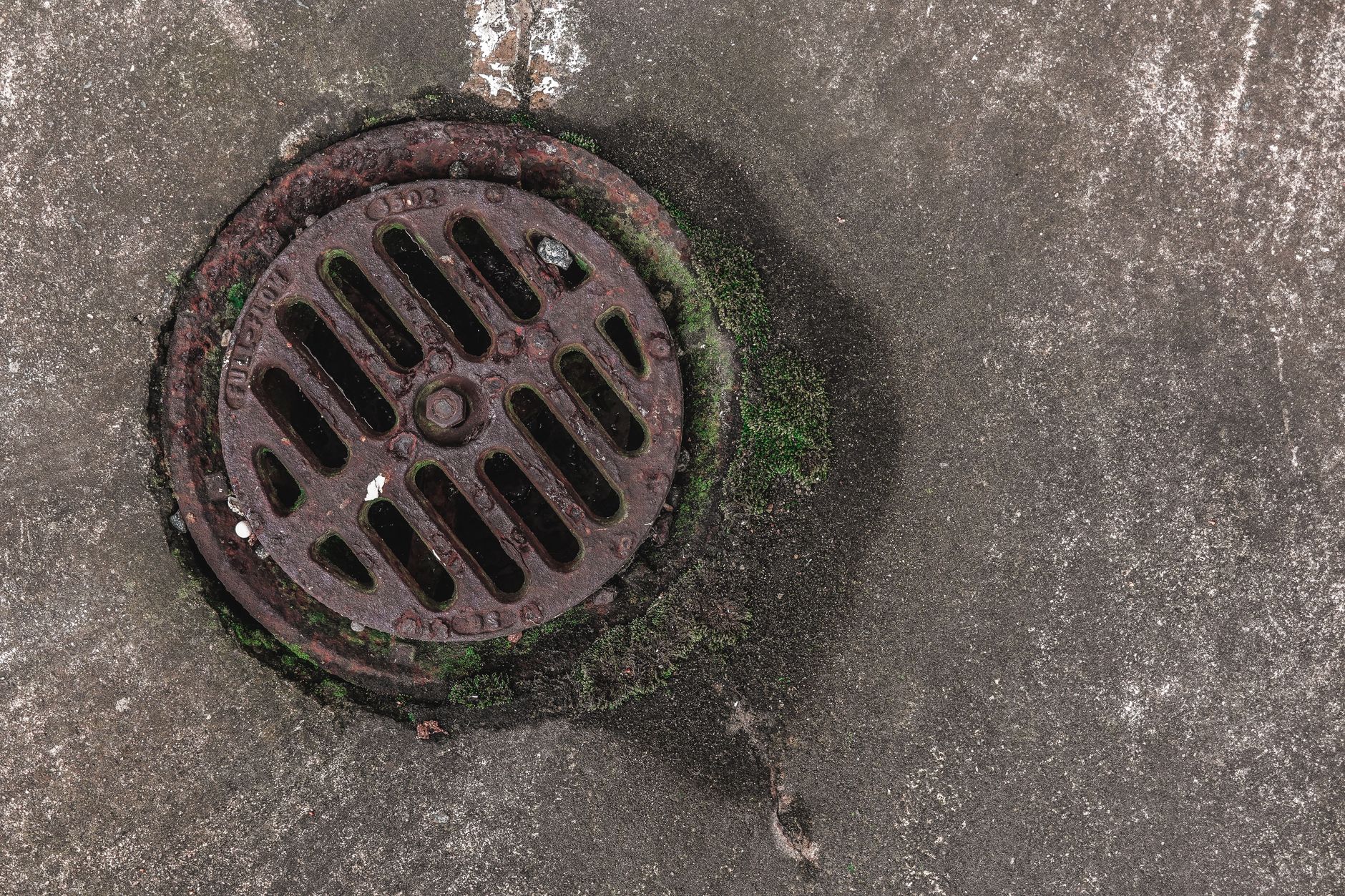 The Drain