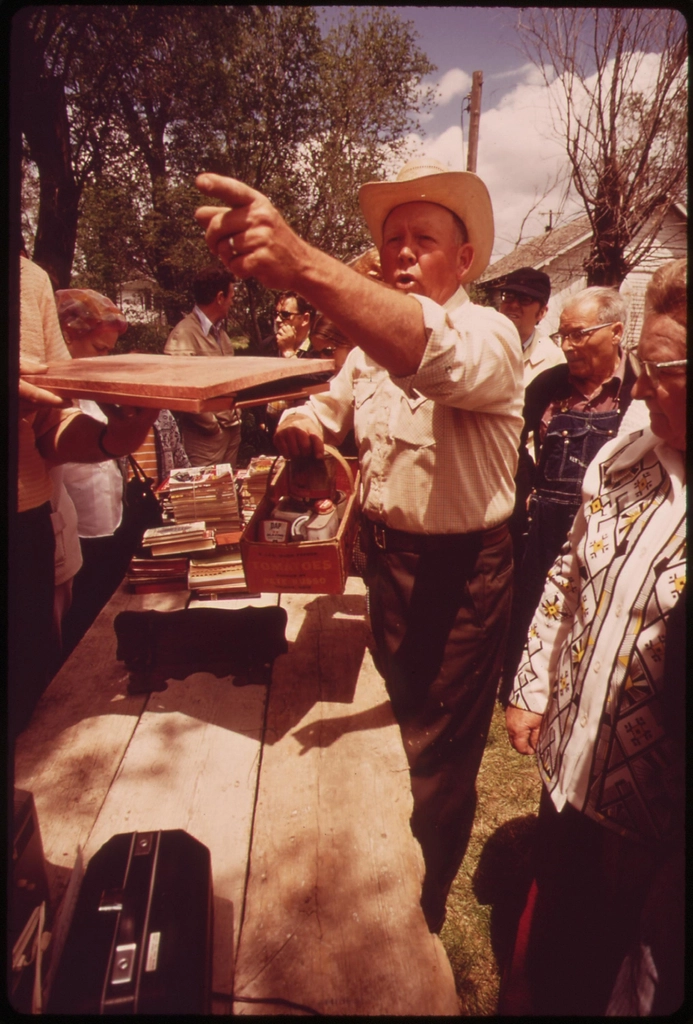 The Auctioneer